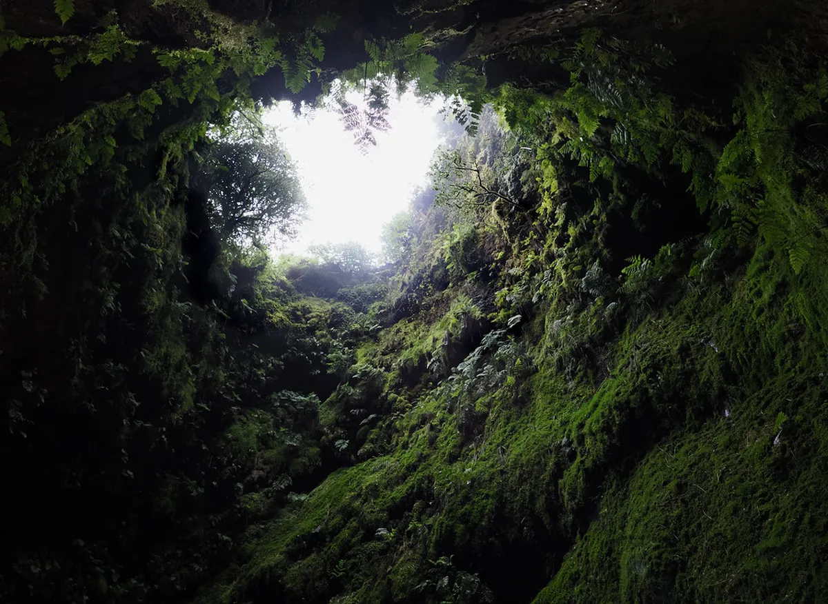 Algar Do Carvao Terceira: The Ultimate Visitor's Guide