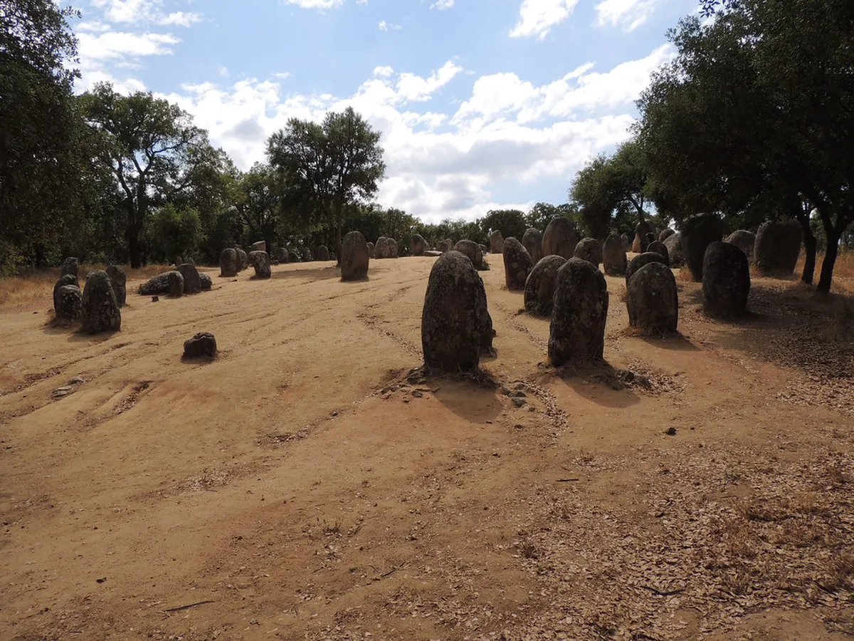 The Almendres Menhir standing stone in the Alentejo cork-oak landscape near Évora, Portugal