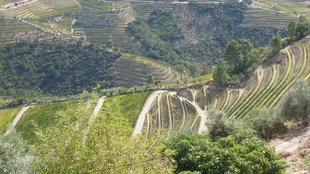 Alto Douro Vinhateiro in Douro Valley, Portugal