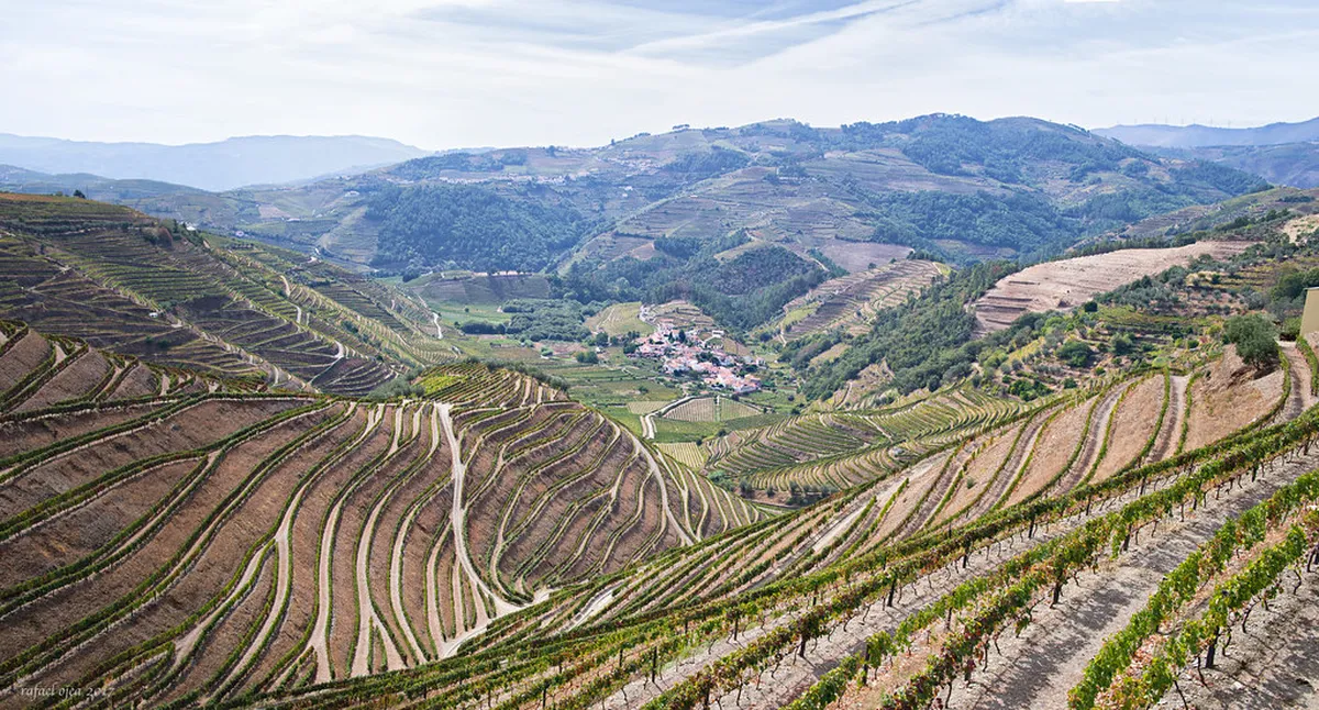 10 Essential Tips for Visiting Alto Douro Vinhateiro