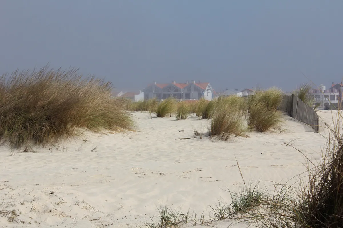 10 Best Aveiro Beaches and Coastal Gems to Visit (2026)