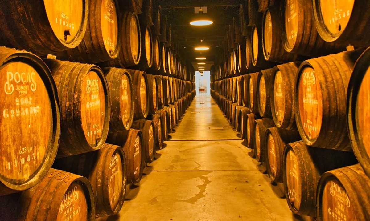 10 Best Port Wine Lodges in Porto (2026 Travel Guide)