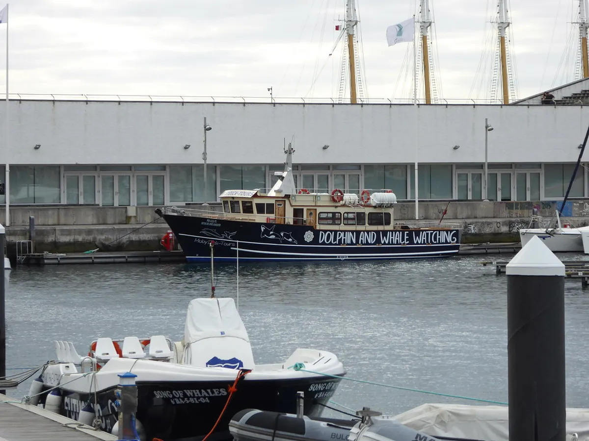10 Best Boat Tours in the Azores for 2026