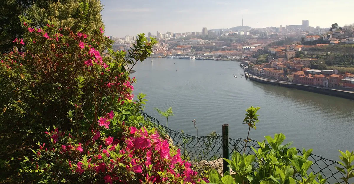 Local Insights — a highlight of Braga, northern Portugal