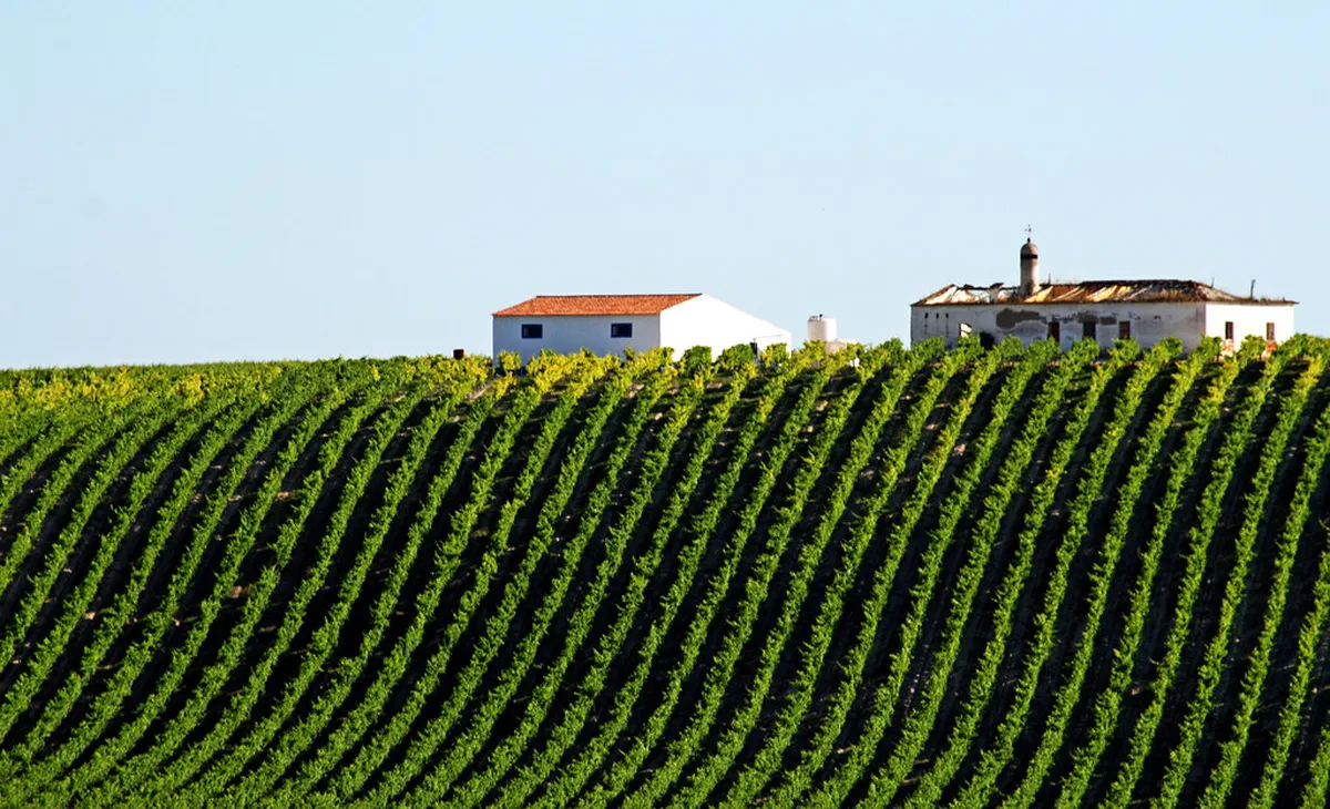 Must-See Évora Wine: Attractions in Évora, Portugal