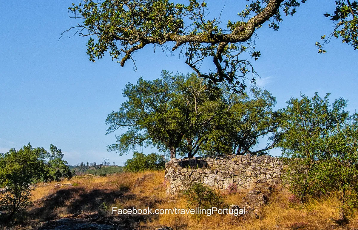 How to Visit Citânia de Briteiros from Guimarães: 6 Essential Tips