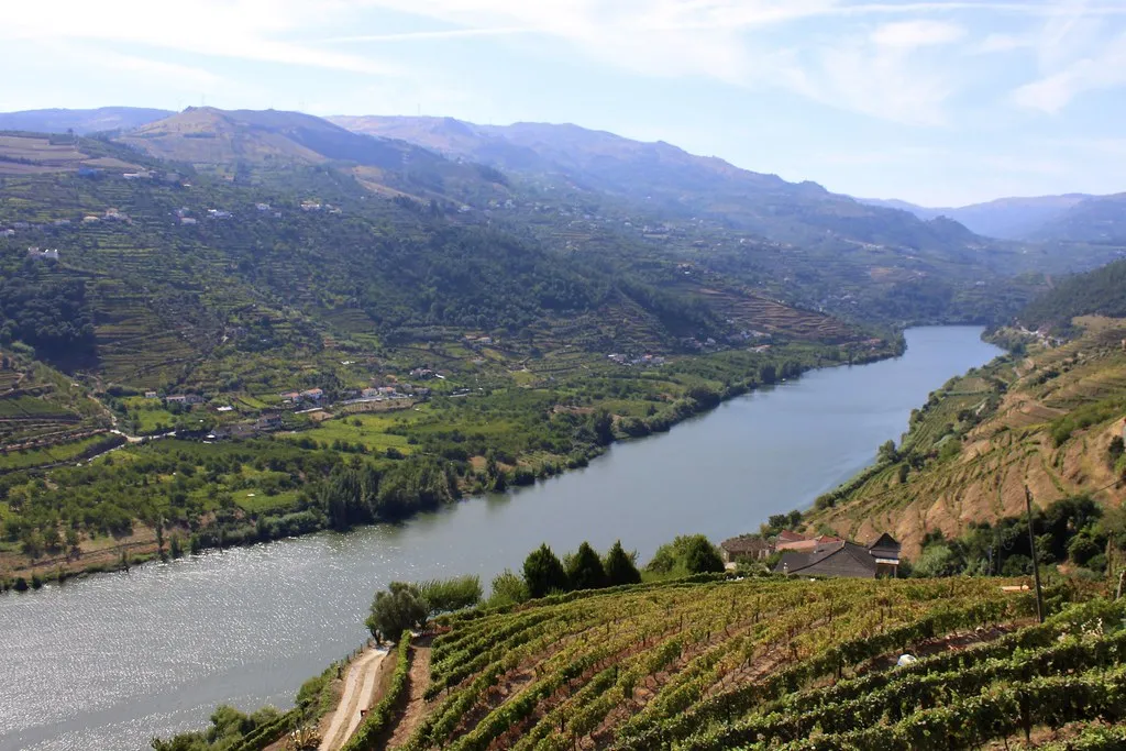 Day Lamego Vineyards in Douro Valley, Portugal