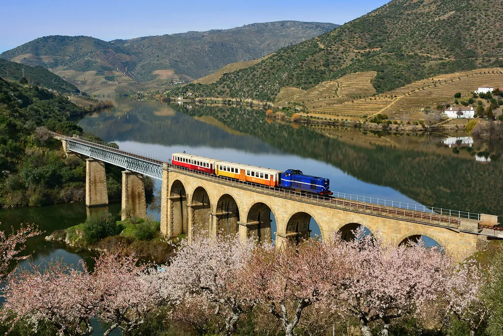 Standard Regional Service in Douro Valley, Portugal