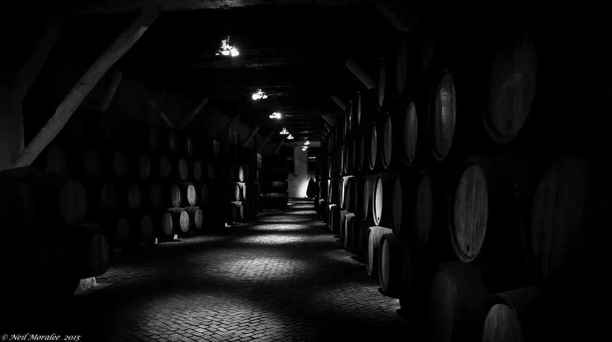 Douro Valley 2 Day Itinerary: 8 Essential Planning Steps