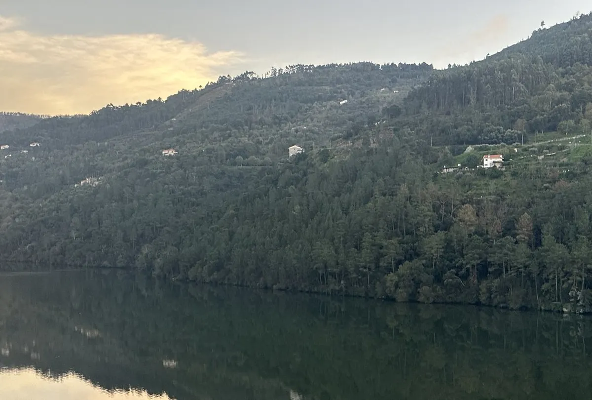 7 Essential Stops in the Douro Valley Baião Guide