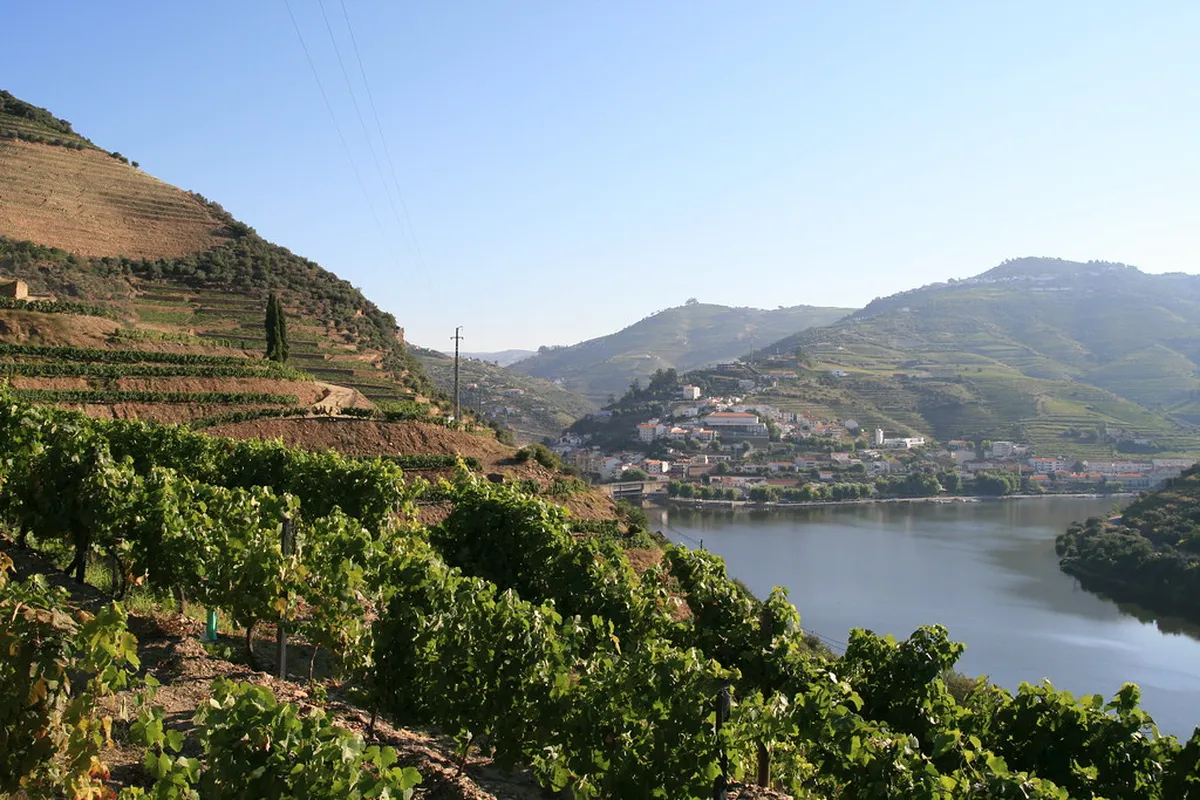 Douro Valley Tours: 10 Essential Planning Tips