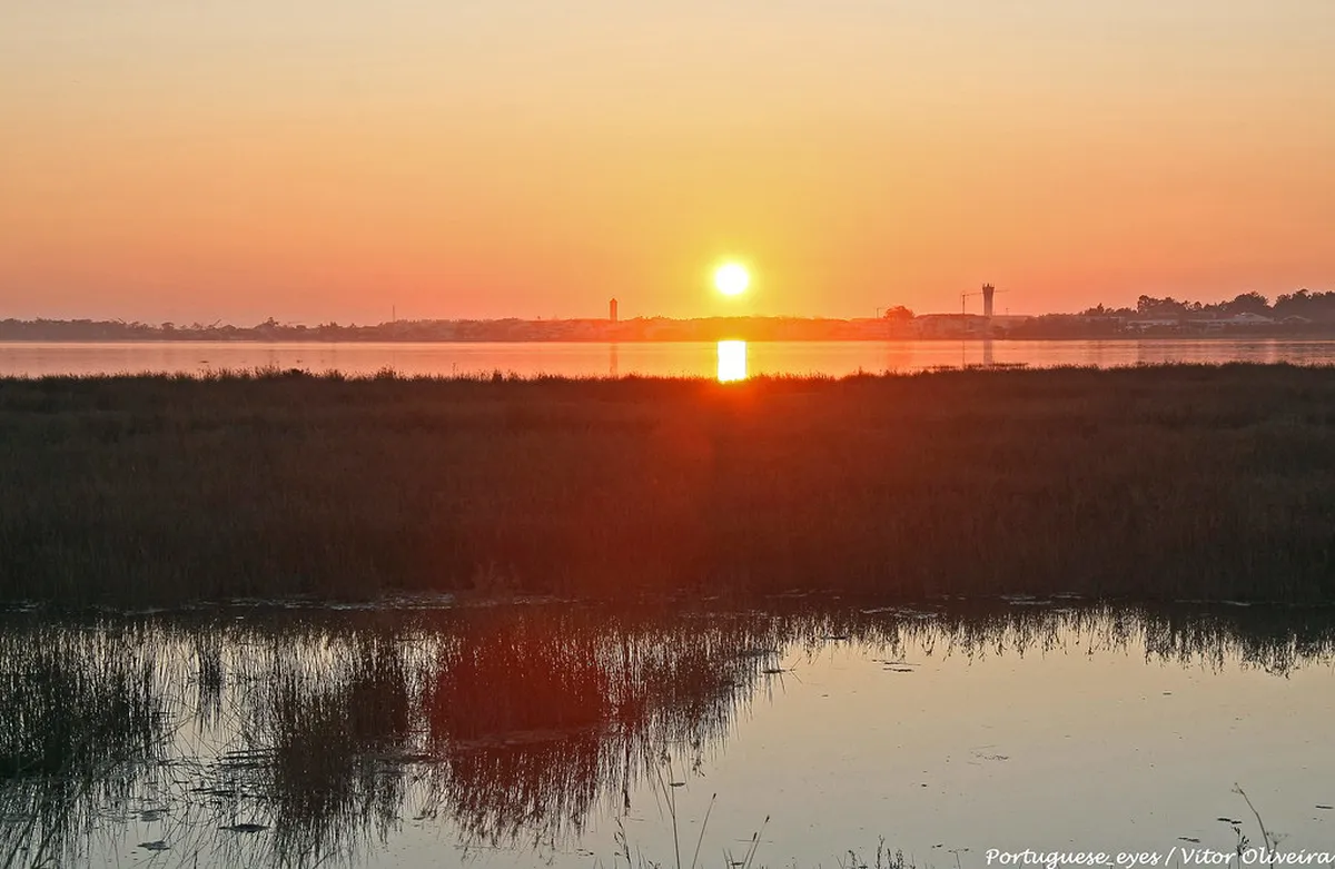 Free Things To Do In Aveiro — Aveiro Ria sunset Portugal