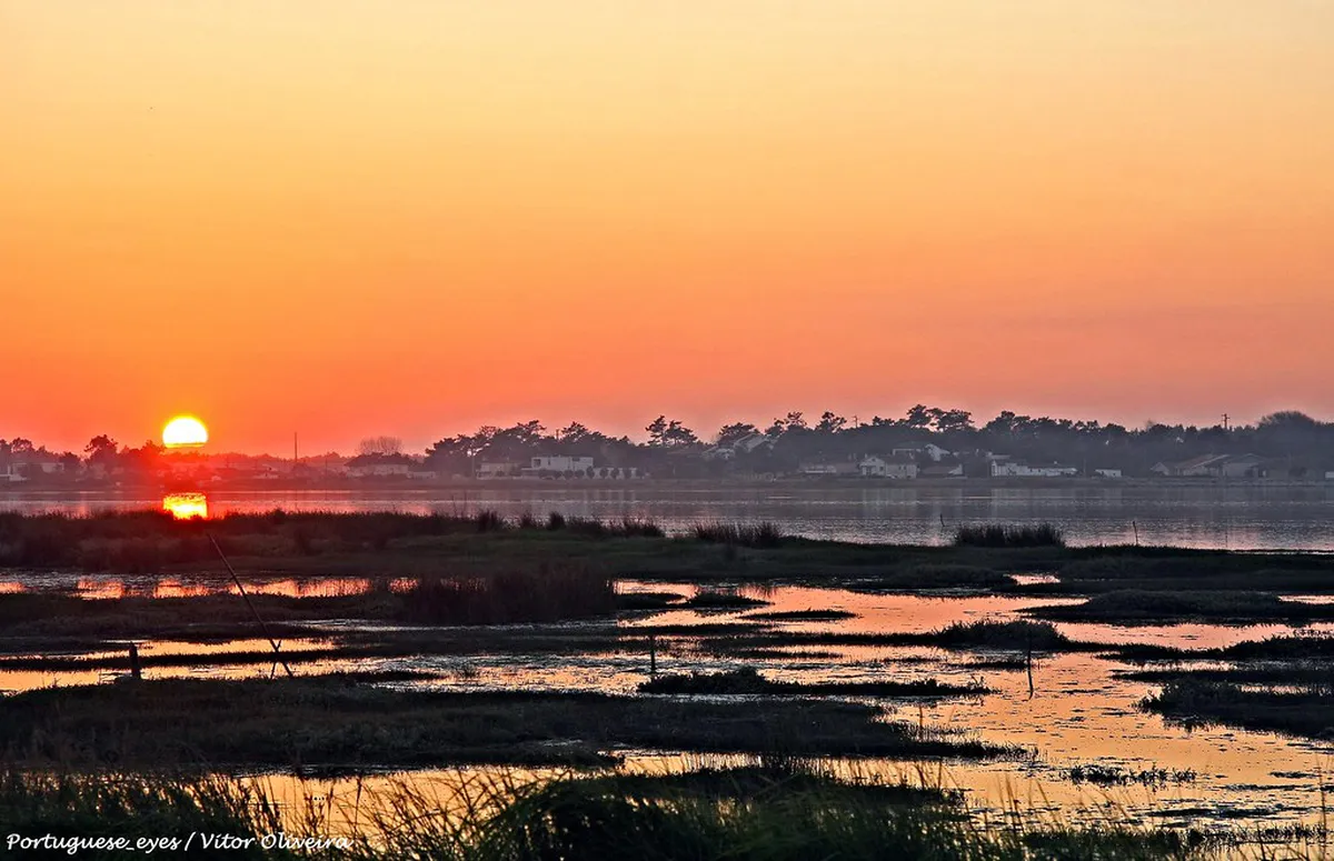 10 Best Free Things to Do in Aveiro Travel Guide (2025)