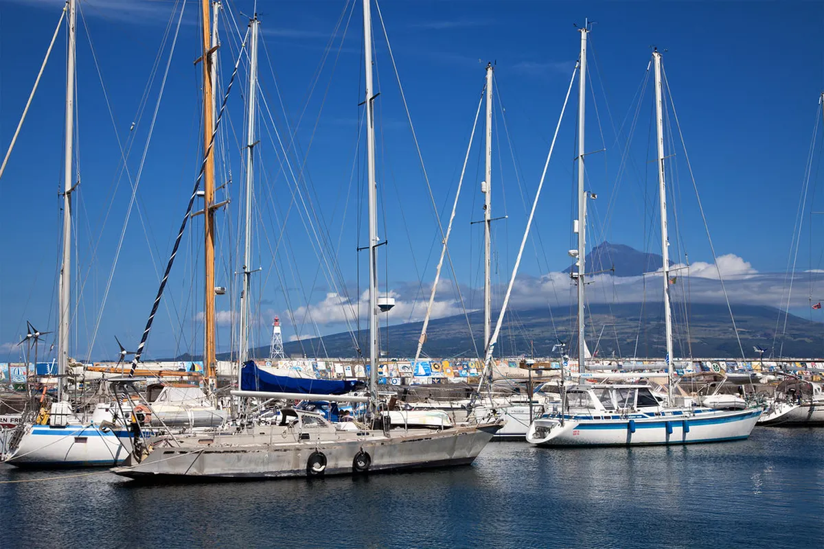 Horta Marina Faial Azores: The Ultimate Guide for Travelers