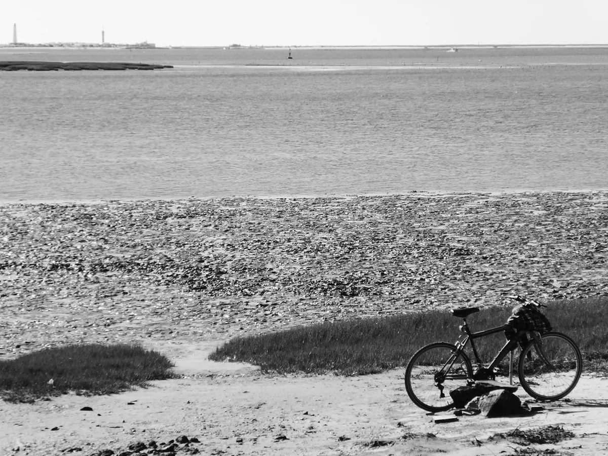 Ilha de Faro Beach Guide: 10 Essential Planning Tips