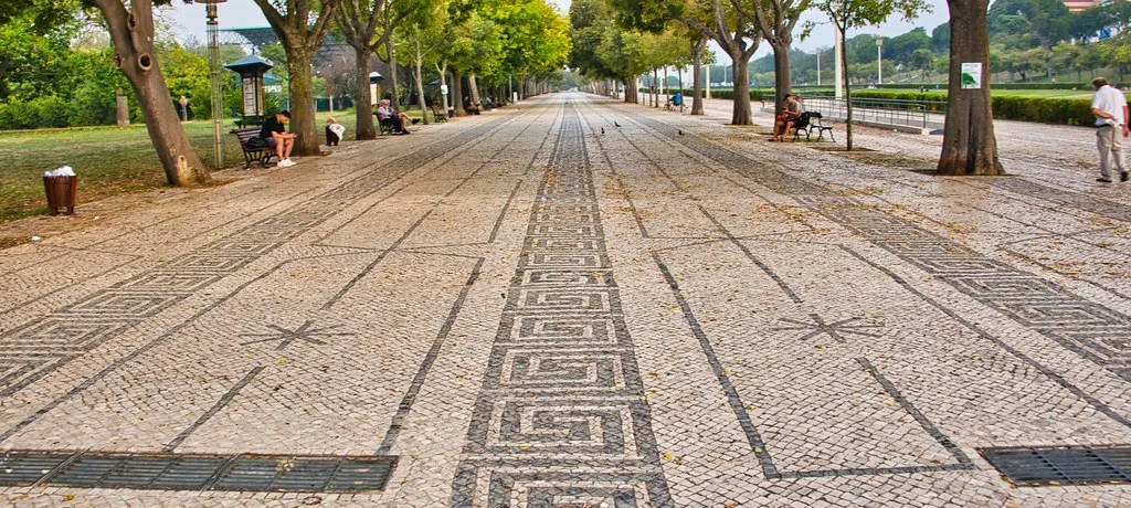 Crawls Walk Morning in Lisbon, Portugal