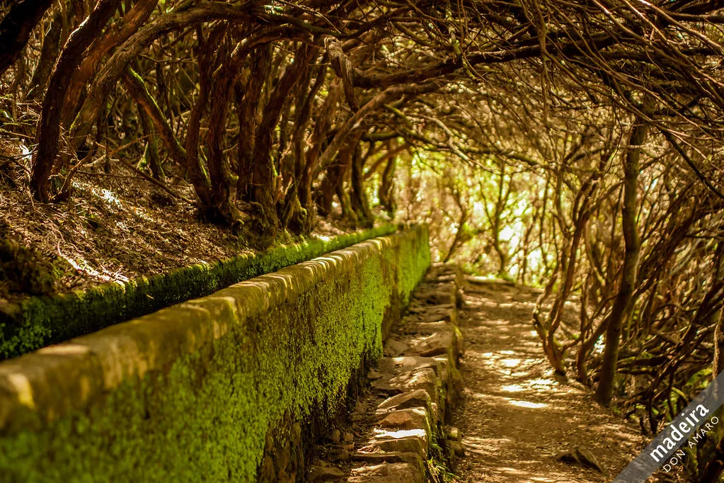 Risco Levada PR6 in Madeira, Portugal