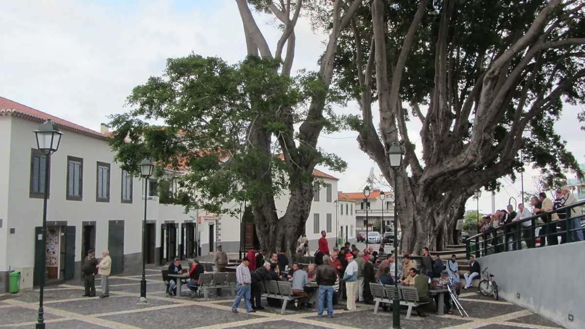22 Best Madeira Activities for Your 2026 Island Adventure