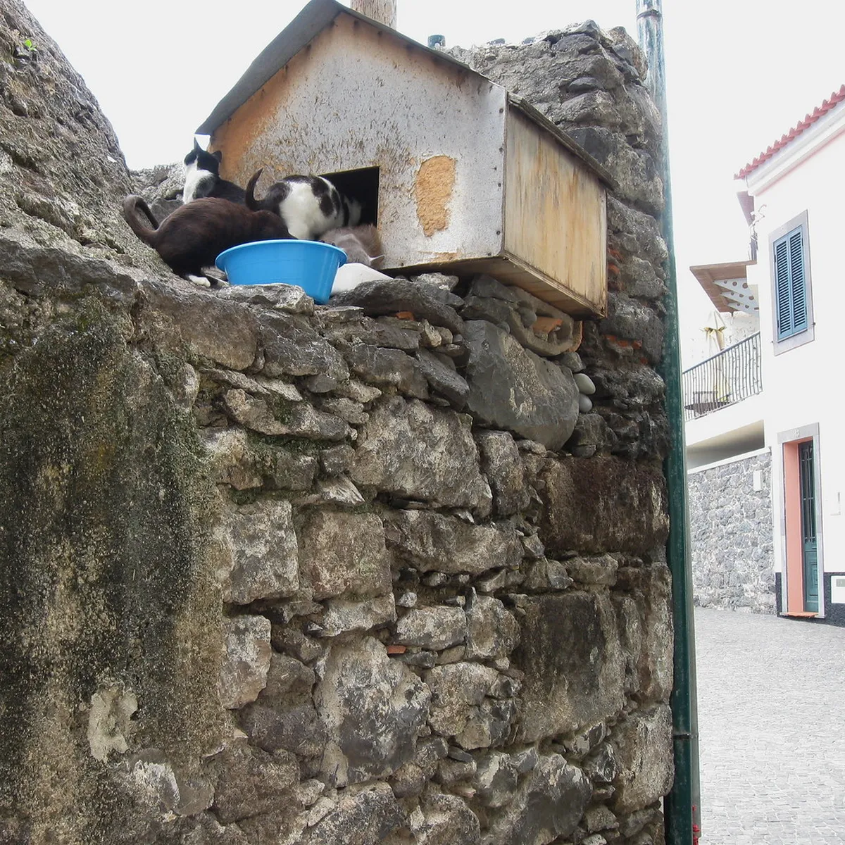 10 Best Madeira Hostels and Planning Tips (2026 Guide)