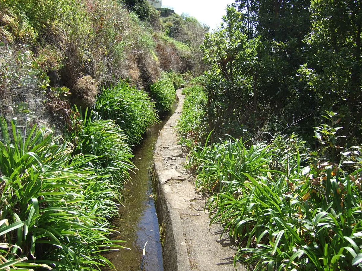 Madeira in April: 10 Things to Know Before You Go