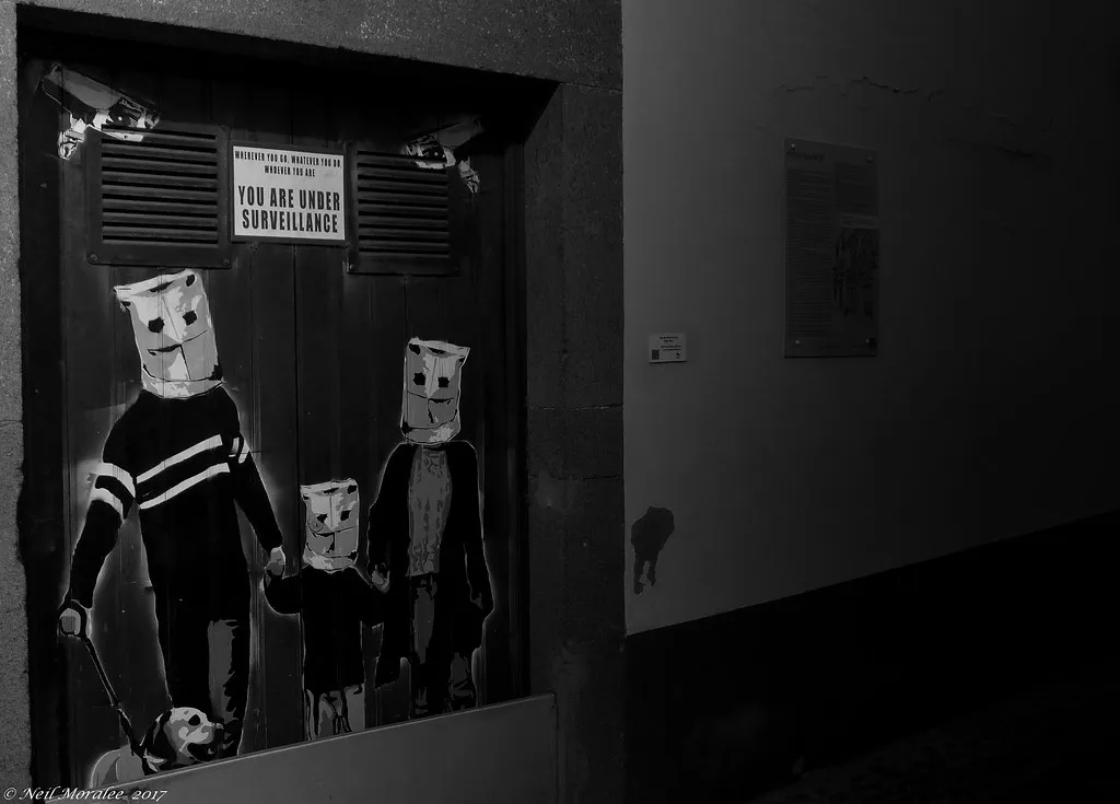 Dolphin Watching May in Madeira, Portugal