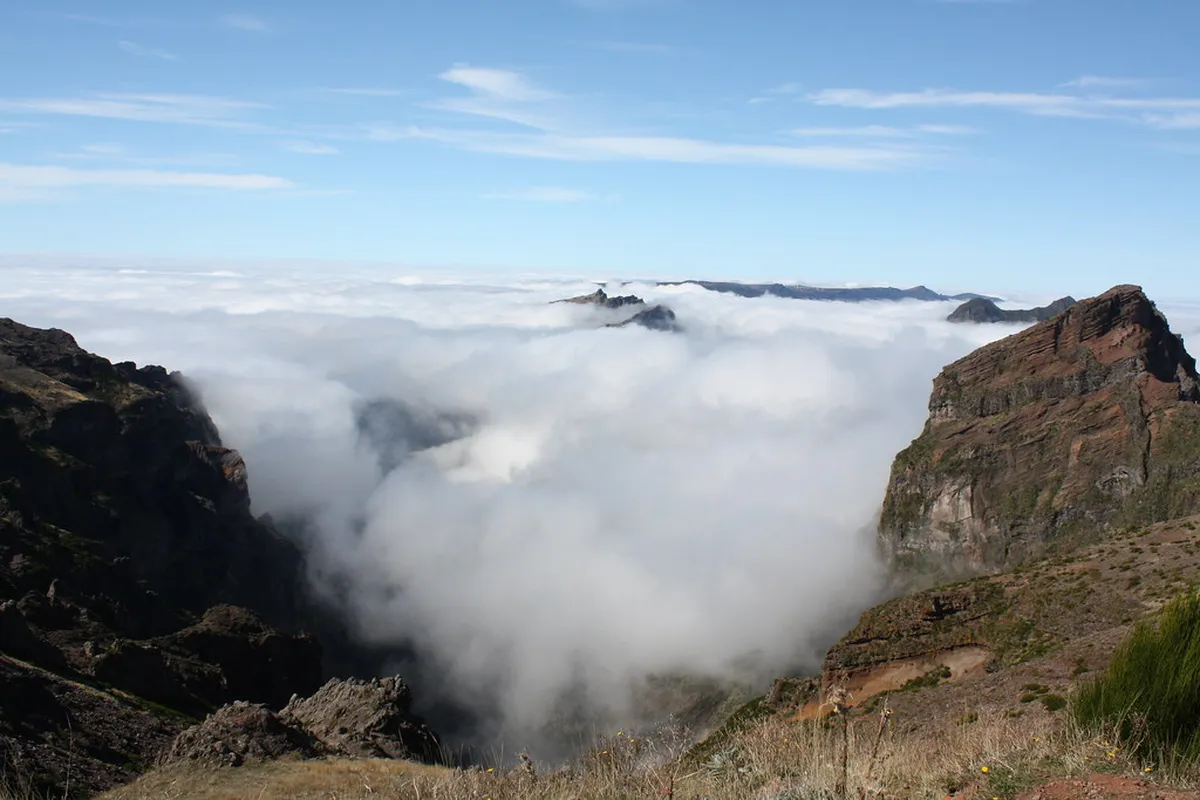 Madeira Tourism: The Ultimate Island Travel Guide