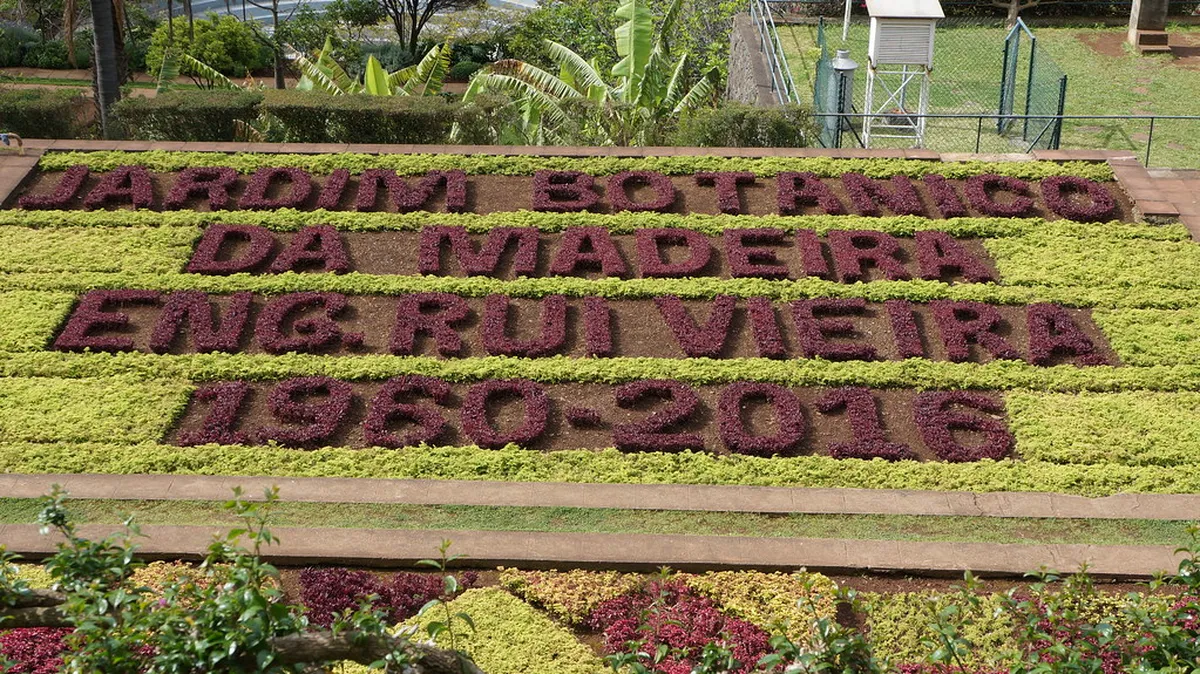 Madeira Travel Guide: The Ultimate Island Planning Resource