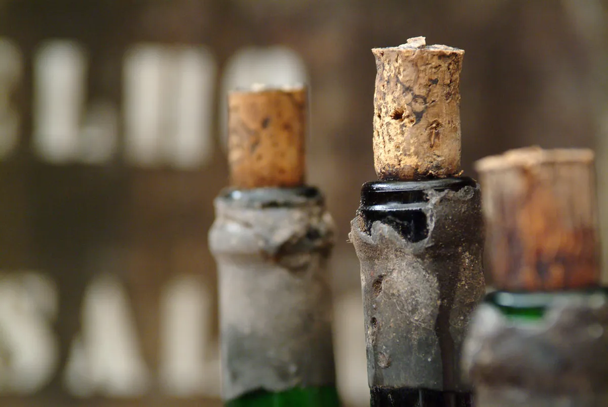 Madeira Wine Festival 2025: 10 Essential Guide Sections