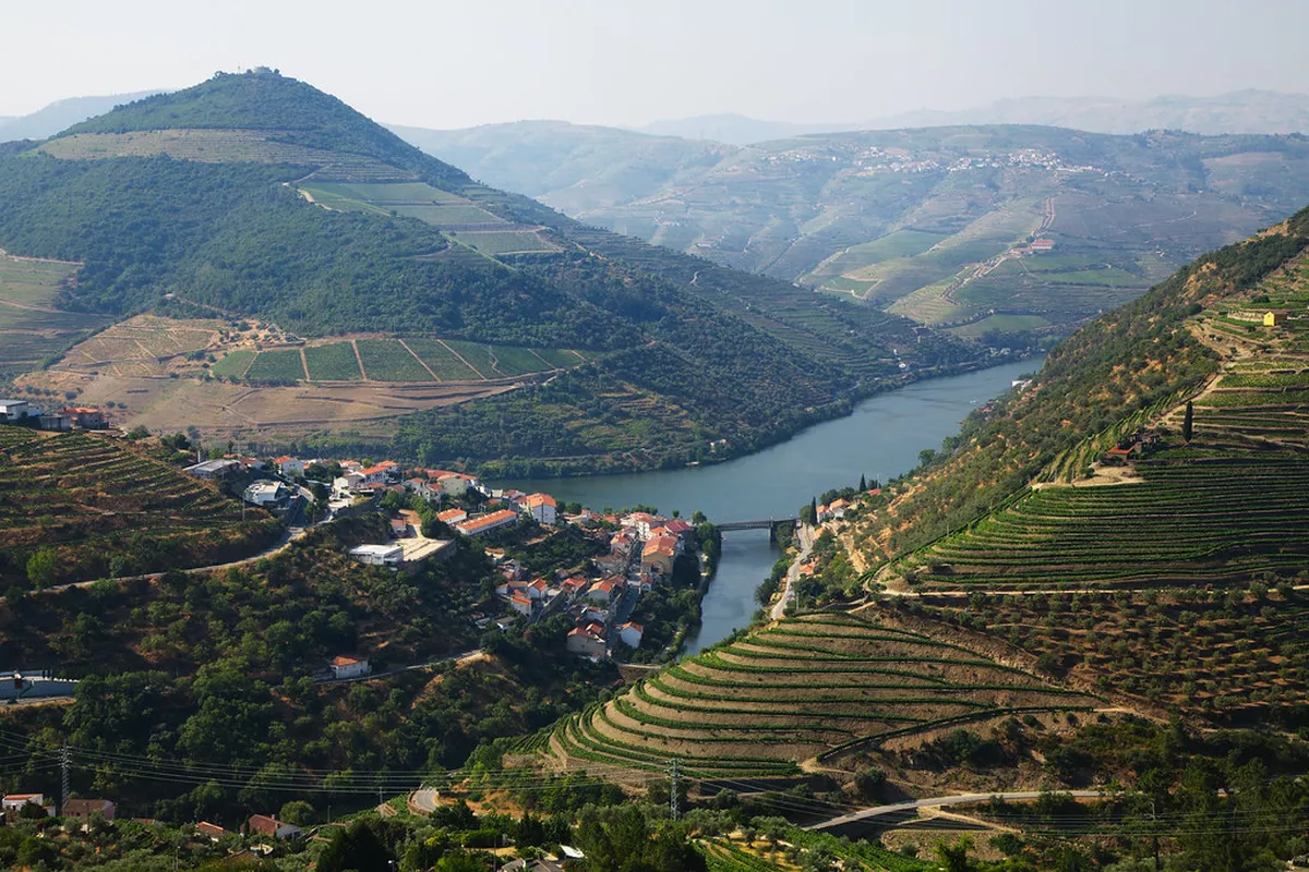 Vineyards above the Douro near Pinhão, Portugal