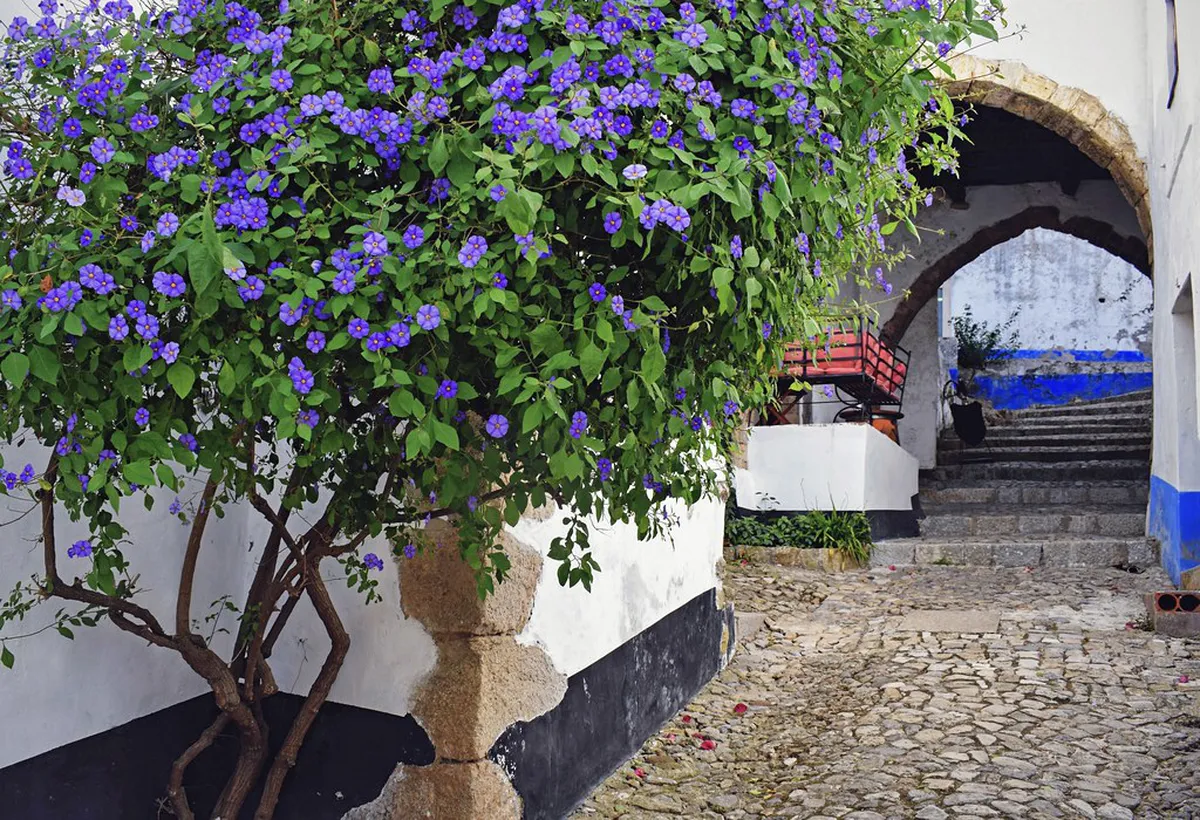 Mercado Medieval de Óbidos (July) in Obidos, Portugal