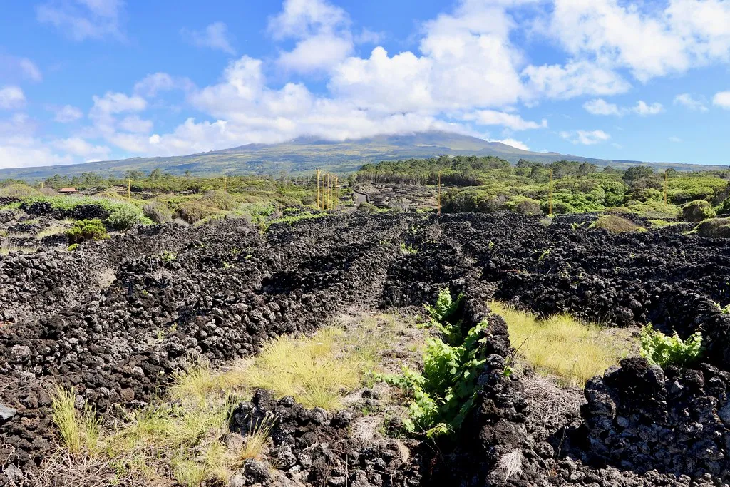 Velha Santa Luzia in Azores, Portugal