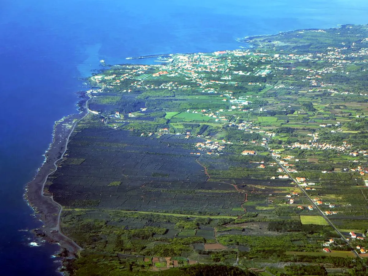 Pico Vineyards UNESCO World Heritage Guide