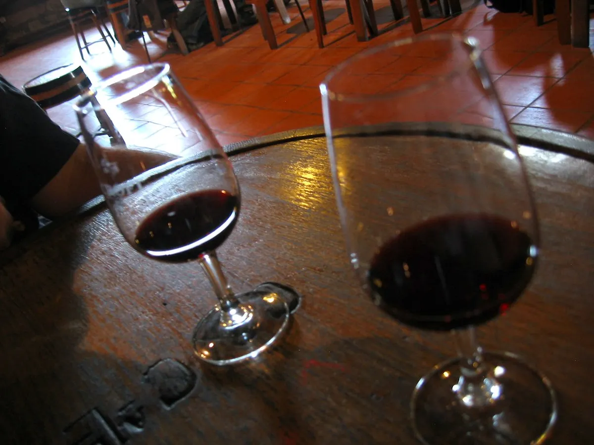 11 Best Spots for Port Tasting in Porto: The 2026 Guide