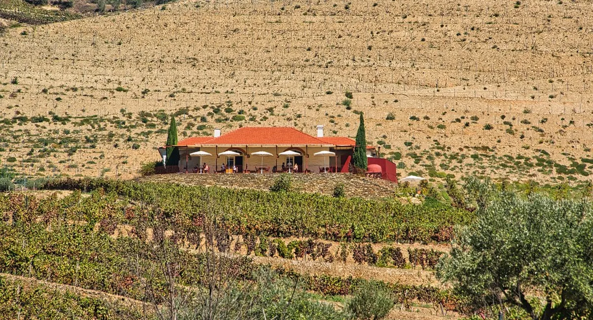Porto to Douro Valley by Car: 8 Key Planning Insights