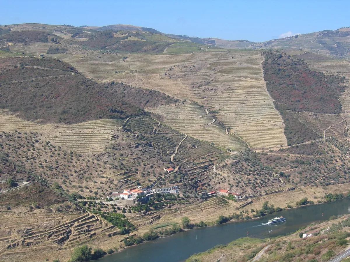 Porto to Douro Valley: 10 Essential Tips and Transport Options