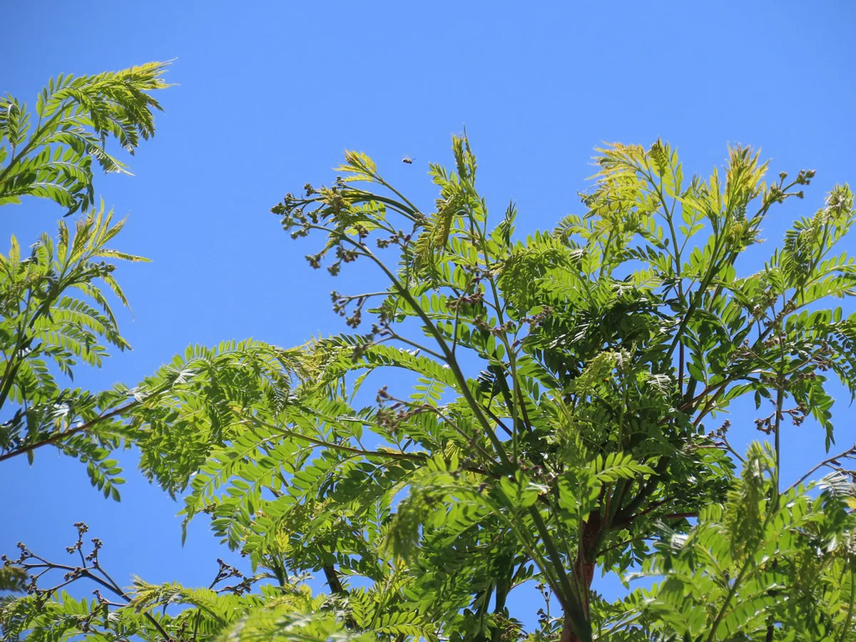 Portugal in May 2026: Weather, Crowds, What to Pack