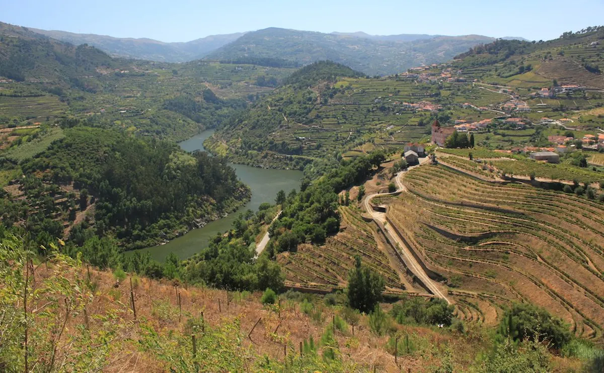 Terraced vineyards in the Douro Valley, Portugal
