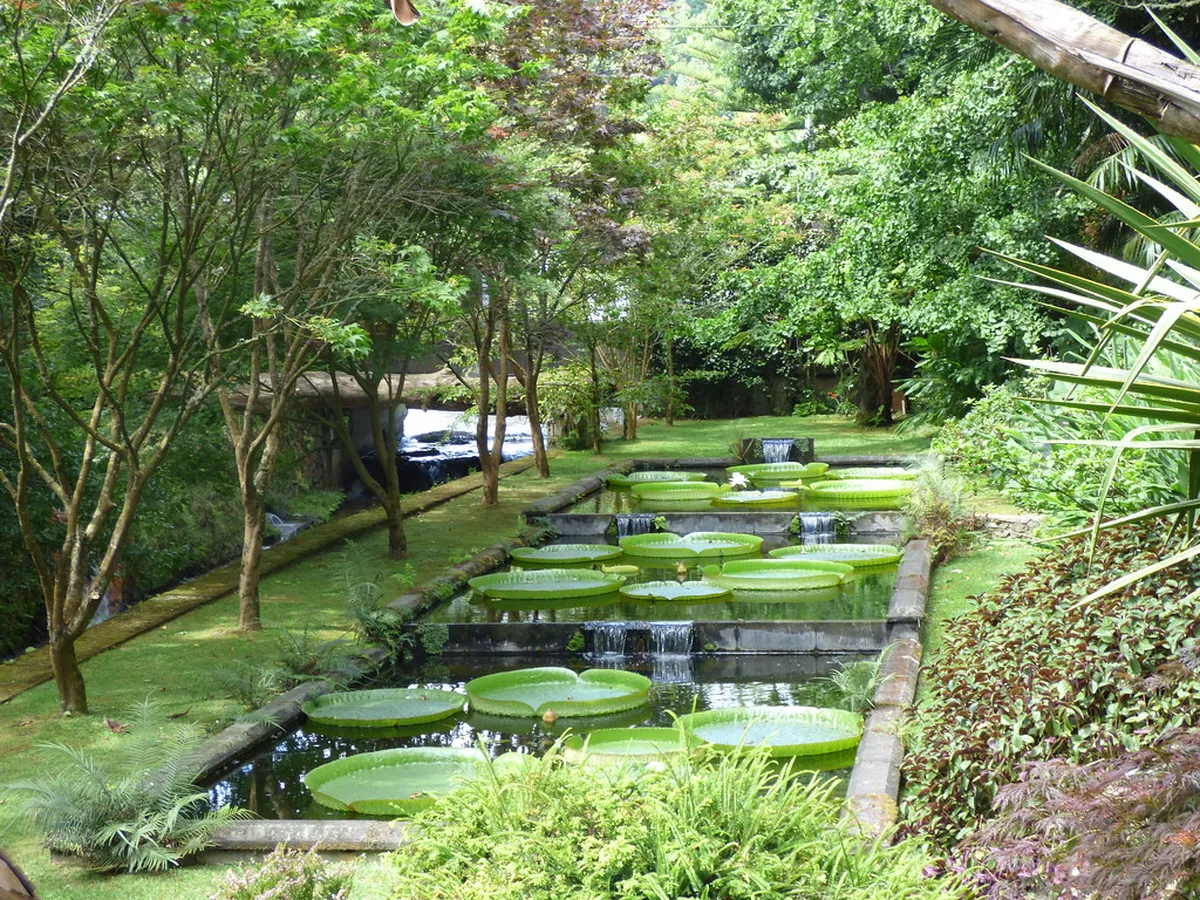 6 Essential Tips for Visiting Terra Nostra Park Furnas