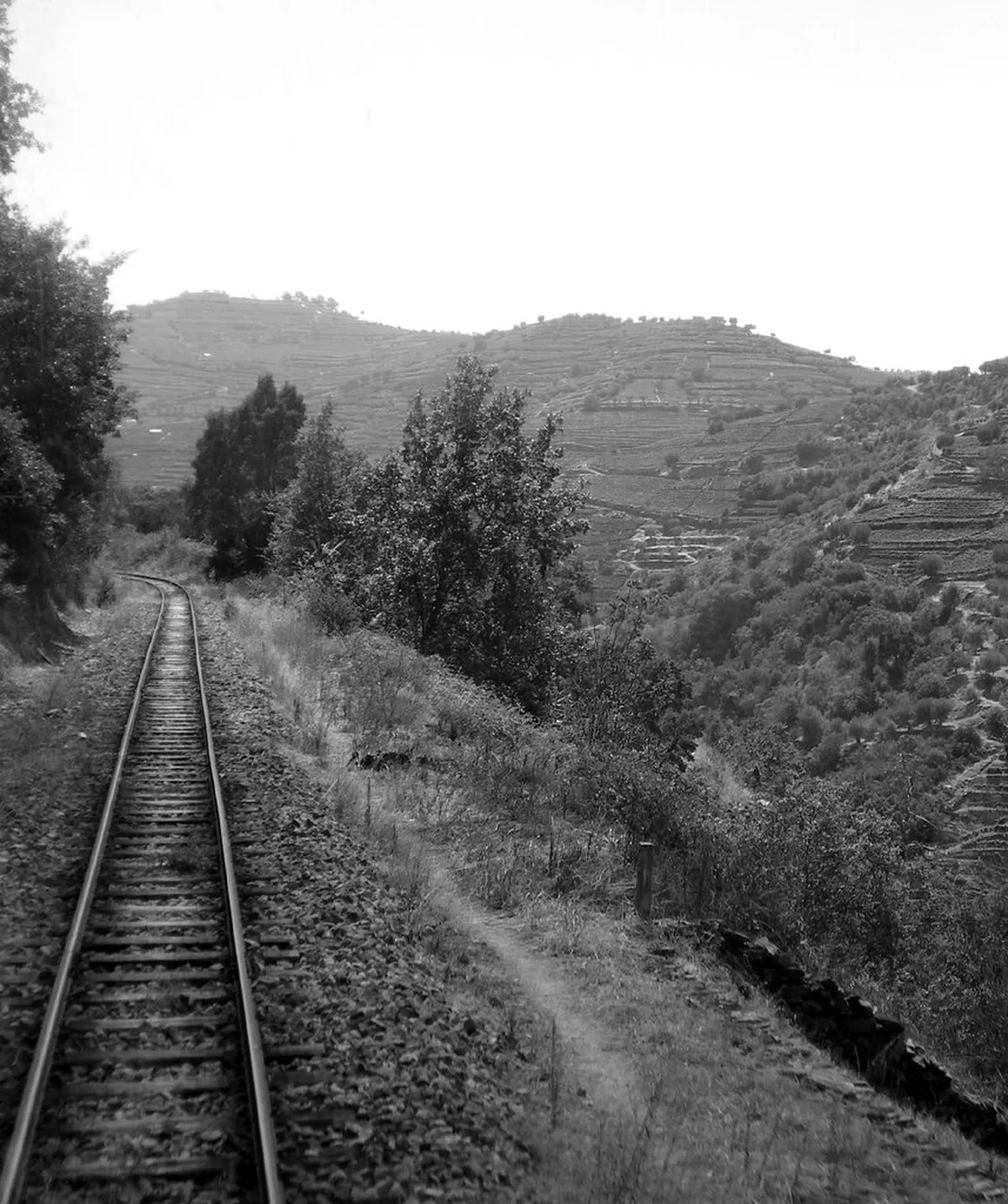 Things to Do in the Douro Valley: A Complete Travel Guide