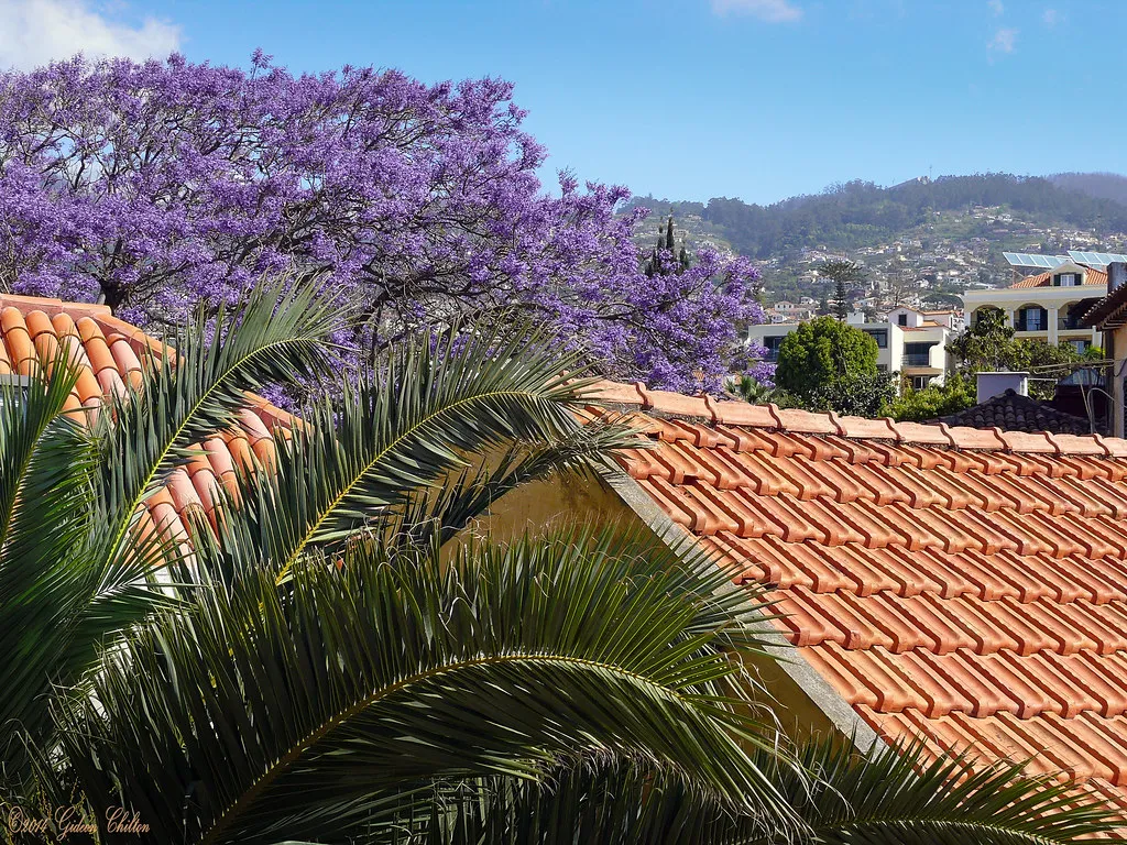 Funchal Old Town in Madeira, Portugal