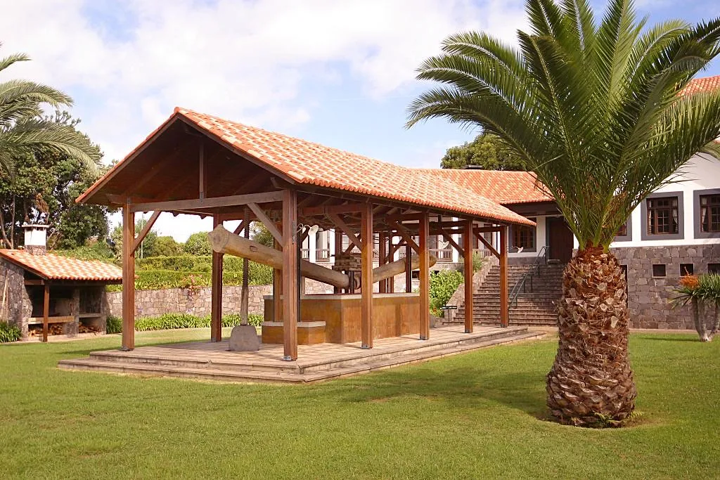 Wine Tasting Tour in Madeira, Portugal