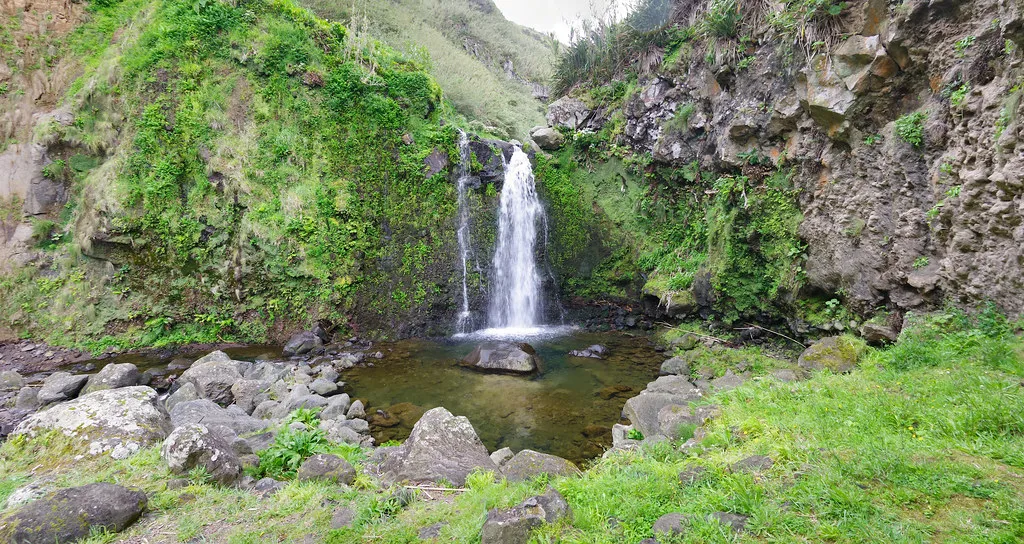 Farinha São Miguel in Azores, Portugal
