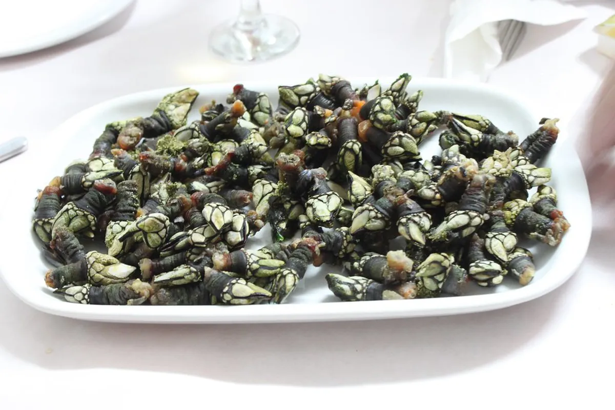 Where To Eat In Aveiro in Aveiro, Portugal