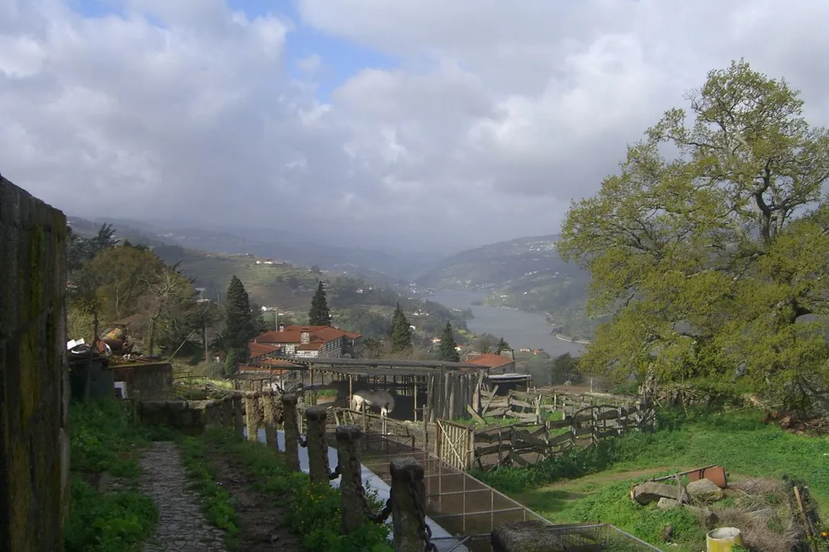 Where To Stay In Douro Valley: Best Areas & Hotels